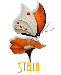 Assinatura Stella